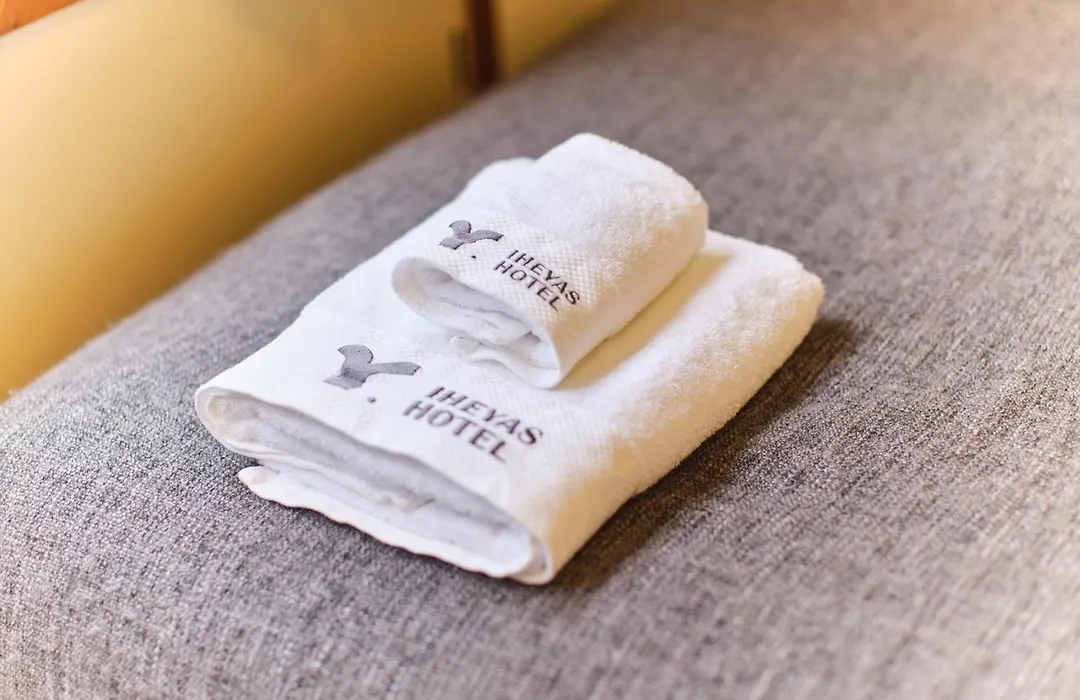 Tora Hotel Tokyo Ueno 寅ホテル 上野 B-1